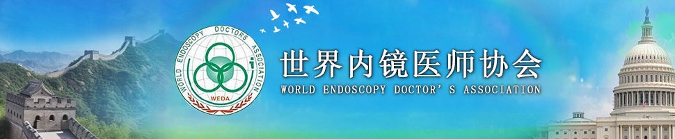 通栏图片